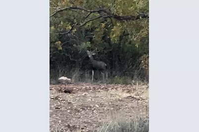 541 S Left Fork Hobb Rd E #8, Springville, UT 84663 - Photo 14