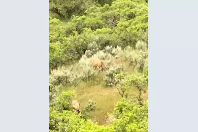 541 S Left Fork Hobb Rd E #8, Springville, UT 84663 - Photo 2