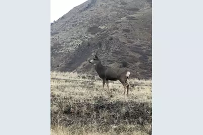 541 S Left Fork Hobb Rd E #8, Springville, UT 84663 - Photo 20