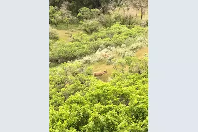 541 S Left Fork Hobb Rd E #8, Springville, UT 84663 - Photo 4