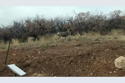 541 S Left Fork Hobb Rd E #8, Springville, UT 84663 - Photo 16