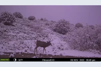 1100 S Deer Pasture Rd, Fillmore, UT 84631 - Photo 10