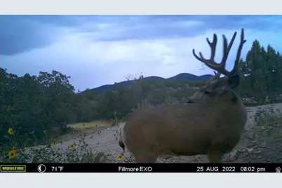 1100 S Deer Pasture Rd, Fillmore, UT 84631 - Photo 8