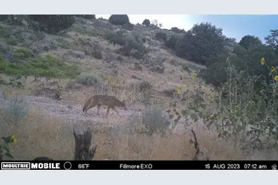 1100 S Deer Pasture Rd, Fillmore, UT 84631 - Photo 24