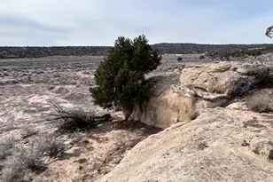 See Directions, Duchesne, UT 84021 - Photo 1