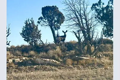 See Directions #9-J-3, Duchesne, UT 84021 - Photo 8