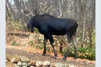 26 Birch Creek Dr #D26&28, Fairview, UT 84629 - Photo 6