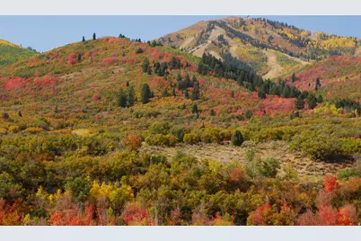 12384 Ross Creek Dr N, Kamas, UT 84036 - Photo 12