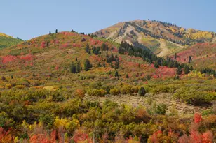 12384 Ross Creek Dr N, Kamas, UT 84036 - Photo 12