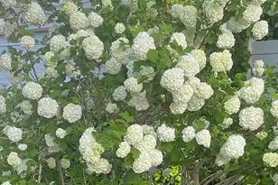 501 W 670 N, Tooele, UT 84074 - Photo 6