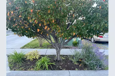 501 W 670 N, Tooele, UT 84074 - Photo 14