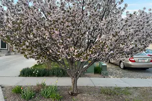 501 W 670 N, Tooele, UT 84074 - Photo 12