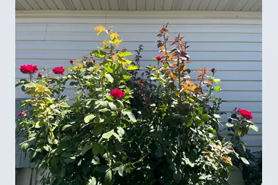 501 W 670 N, Tooele, UT 84074 - Photo 4