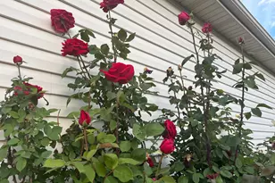 501 W 670 N, Tooele, UT 84074 - Photo 10