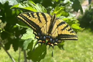 501 W 670 N, Tooele, UT 84074 - Photo 8