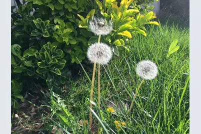 501 W 670 N, Tooele, UT 84074 - Photo 6