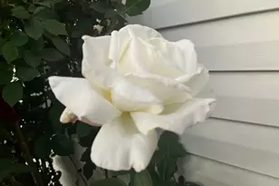 501 W 670 N, Tooele, UT 84074 - Photo 14