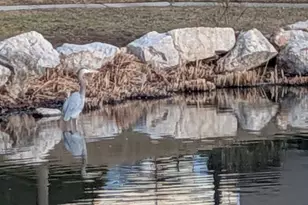 4611 S Quail Vista Cove, Millcreek, UT 84117 - Photo 36