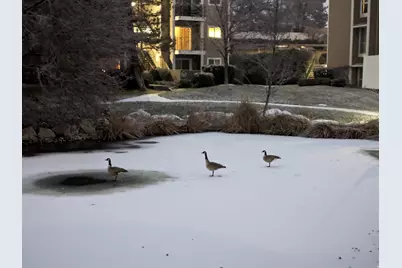 4611 S Quail Vista Cove #G, Millcreek, UT 84117 - Photo 24