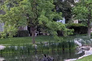 4611 S Quail Vista Cove, Millcreek, UT 84117 - Photo 32