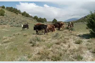 0 County Road 28, Levan, UT 84639 - Photo 2