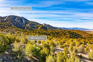 0 County Road 28, Levan, UT 84639 - Photo 1