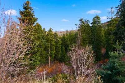 7092 Canyon Dr #116, Park City, UT 84098 - Photo 14