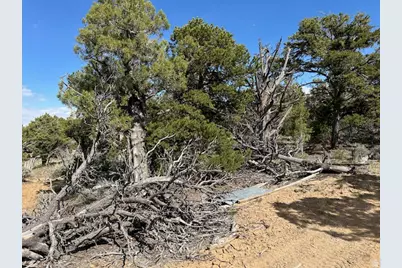 [Address not provided], Fruitland, UT 84027 - Photo 8