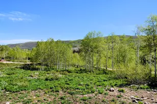 3824 S Blazing Star Way, Heber City, UT 84032 - Photo 8