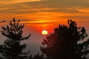 1812 E Beus Dr, Ogden, UT 84403 - Photo 36