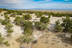 0, Bridgeland, UT 84021 - Photo 44