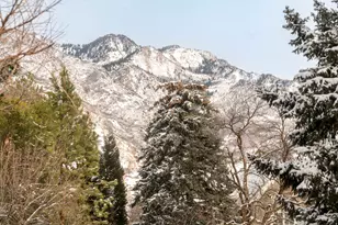 2250 E Pheasant Way, Holladay, UT 84121 - Photo 42