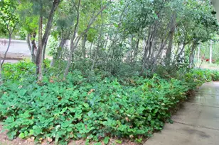 7737 W Sawtooth Cv N, Vernal, UT 84078 - Photo 34