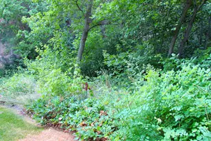 7737 W Sawtooth Cv N, Vernal, UT 84078 - Photo 68