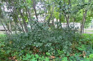 7737 W Sawtooth Cv N, Vernal, UT 84078 - Photo 36