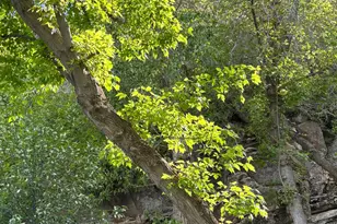 7737 W Sawtooth Cv N, Vernal, UT 84078 - Photo 134