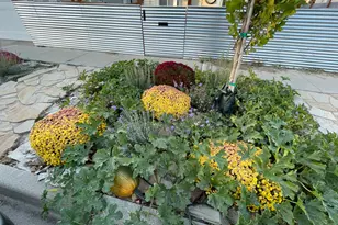 1312 W 600 S, Salt Lake City, UT 84104 - Photo 6