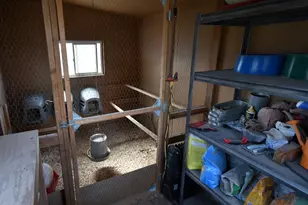 6645 N 4800 W, Amalga, UT 84335 - Photo 10