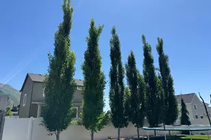 245 W 1770 S, Payson, UT 84651 - Photo 30