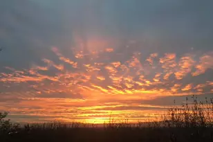 1269 Alice Ln, Farmington, UT 84025 - Photo 74