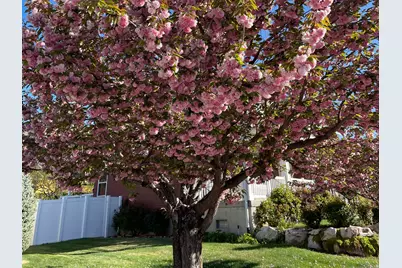 2353 Canyon View Dr, Layton, UT 84040 - Photo 36