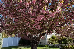 2353 Canyon View Dr, Layton, UT 84040 - Photo 36