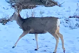 3272 Stoney Creek Cir, Heber City, UT 84032 - Photo 78