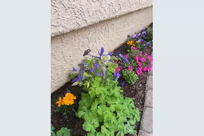 1763 W Morane Manor Dr, Saint George, UT 84790 - Photo 30