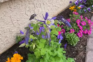 1763 W Morane Manor Dr, Saint George, UT 84790 - Photo 30