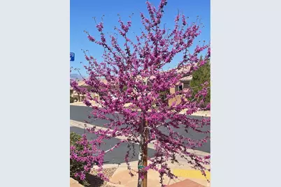 1763 W Morane Manor Dr, Saint George, UT 84790 - Photo 14