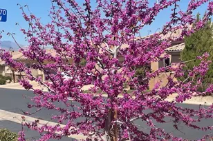 1763 W Morane Manor Dr, Saint George, UT 84790 - Photo 14