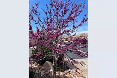 1763 W Morane Manor Dr, Saint George, UT 84790 - Photo 26