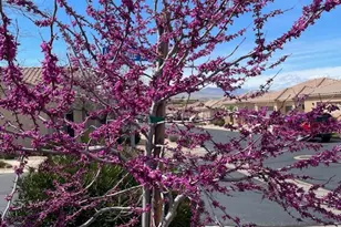 1763 W Morane Manor Dr, Saint George, UT 84790 - Photo 26