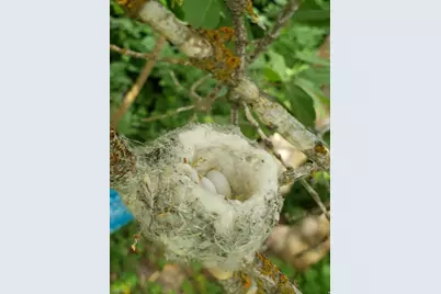 1535 Sumac Dr, Logan, UT 84321 - Photo 52